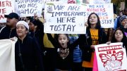Protect DACA and Pass the Dream Act