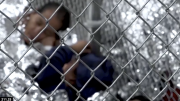 Senate Hearing on Children at the Border: “An Appalling Disregard for Human Dignity”