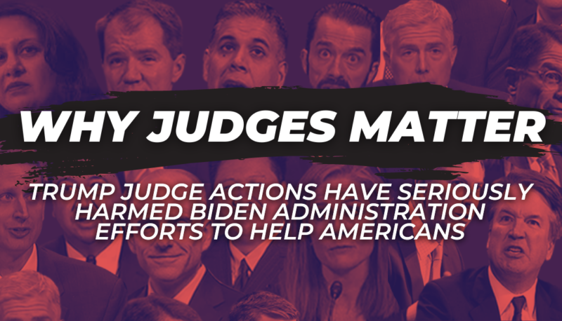 Why Judges Matter